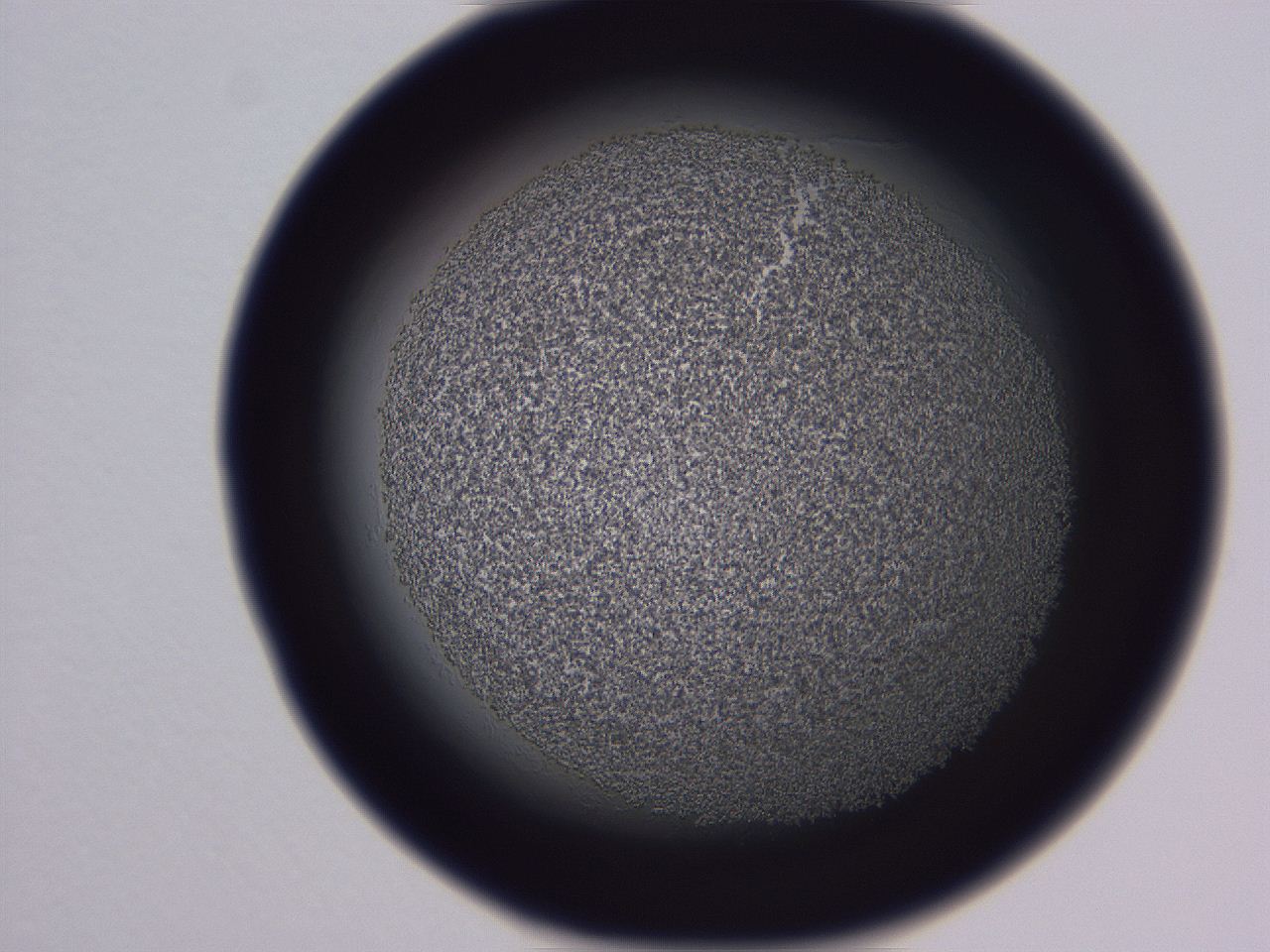0509_C3_ImagerDefaults_3.jpg