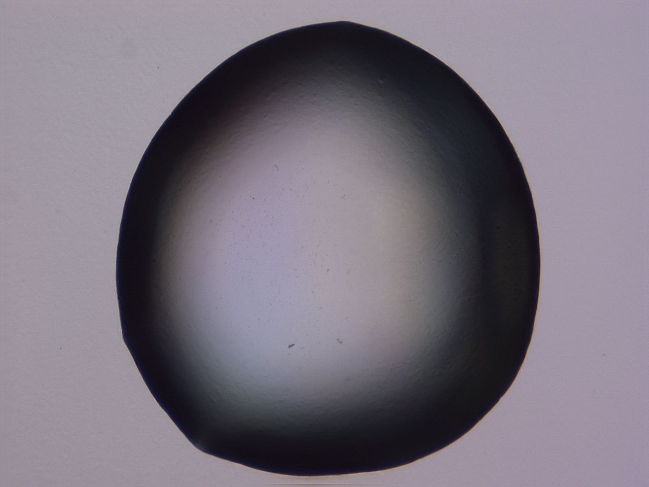 0509_C2_ImagerDefaults_0.jpg