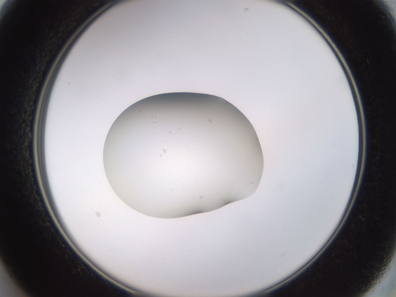 folderID249_plateID3249_batchID20130_wellNum13_profileID1_d2_r285788_ef.jpg