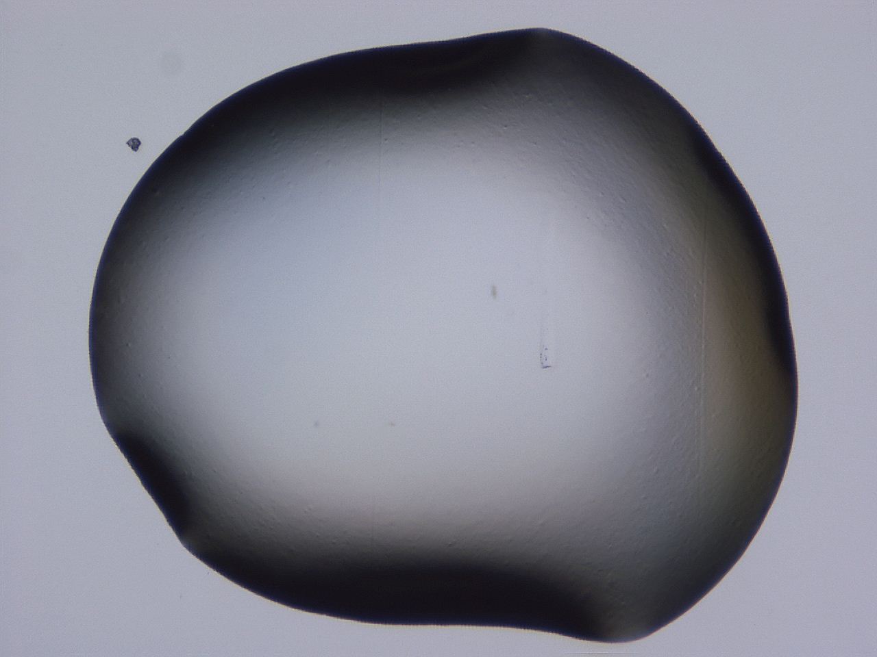 0509_C1_ImagerDefaults_0.jpg
