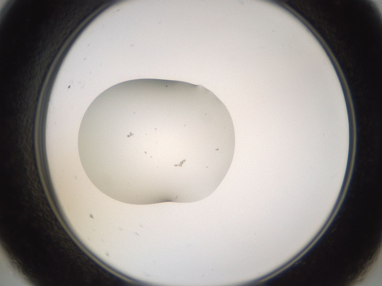 folderID249_plateID3249_batchID20130_wellNum9_profileID1_d2_r285780_ef.jpg