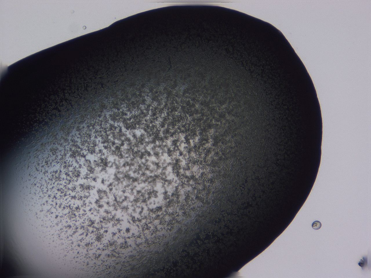 0509_E4_ImagerDefaults_3.jpg