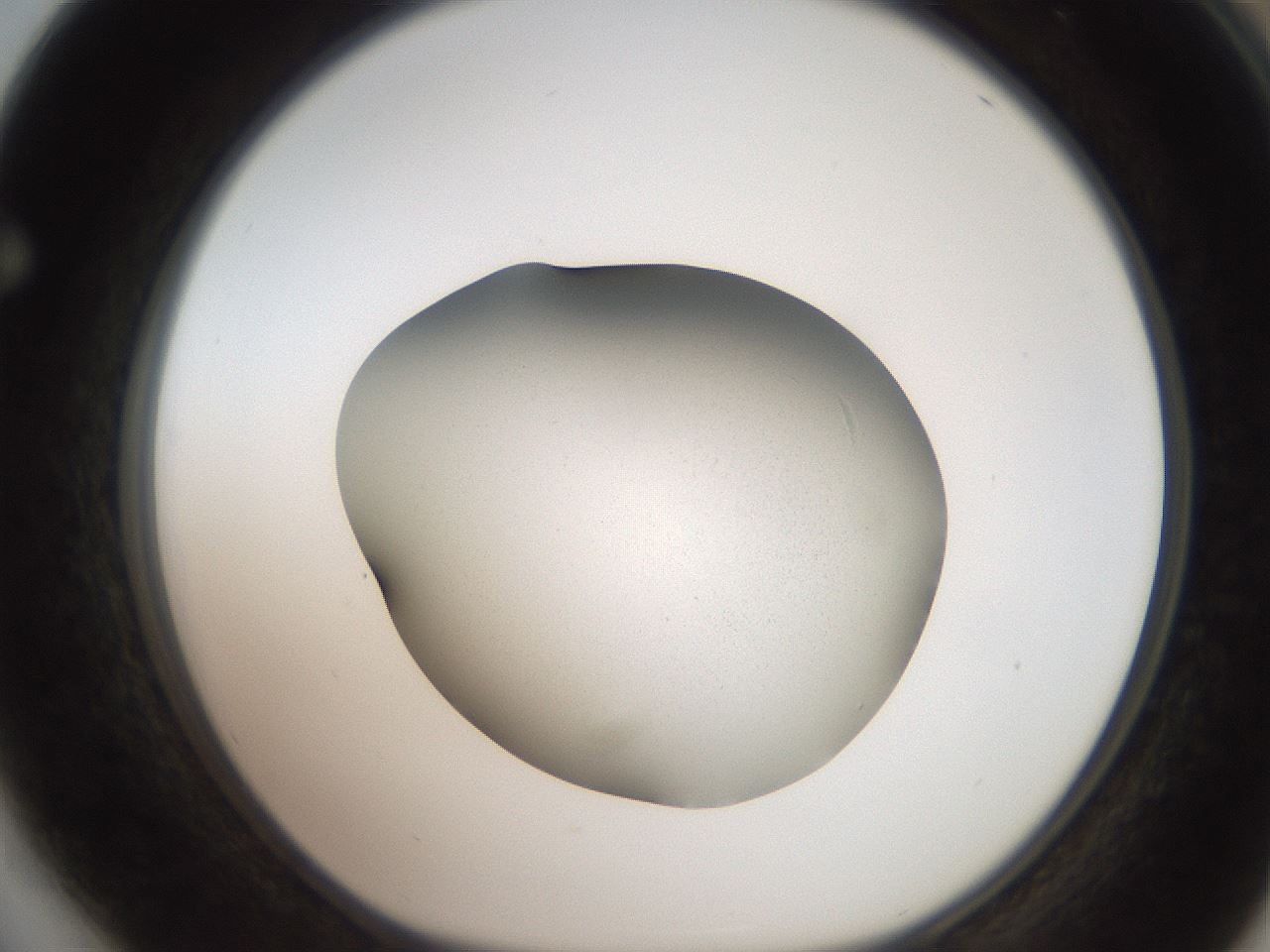 folderID250_plateID2250_batchID10158_wellNum64_profileID1_d1_r155577_ef.jpg