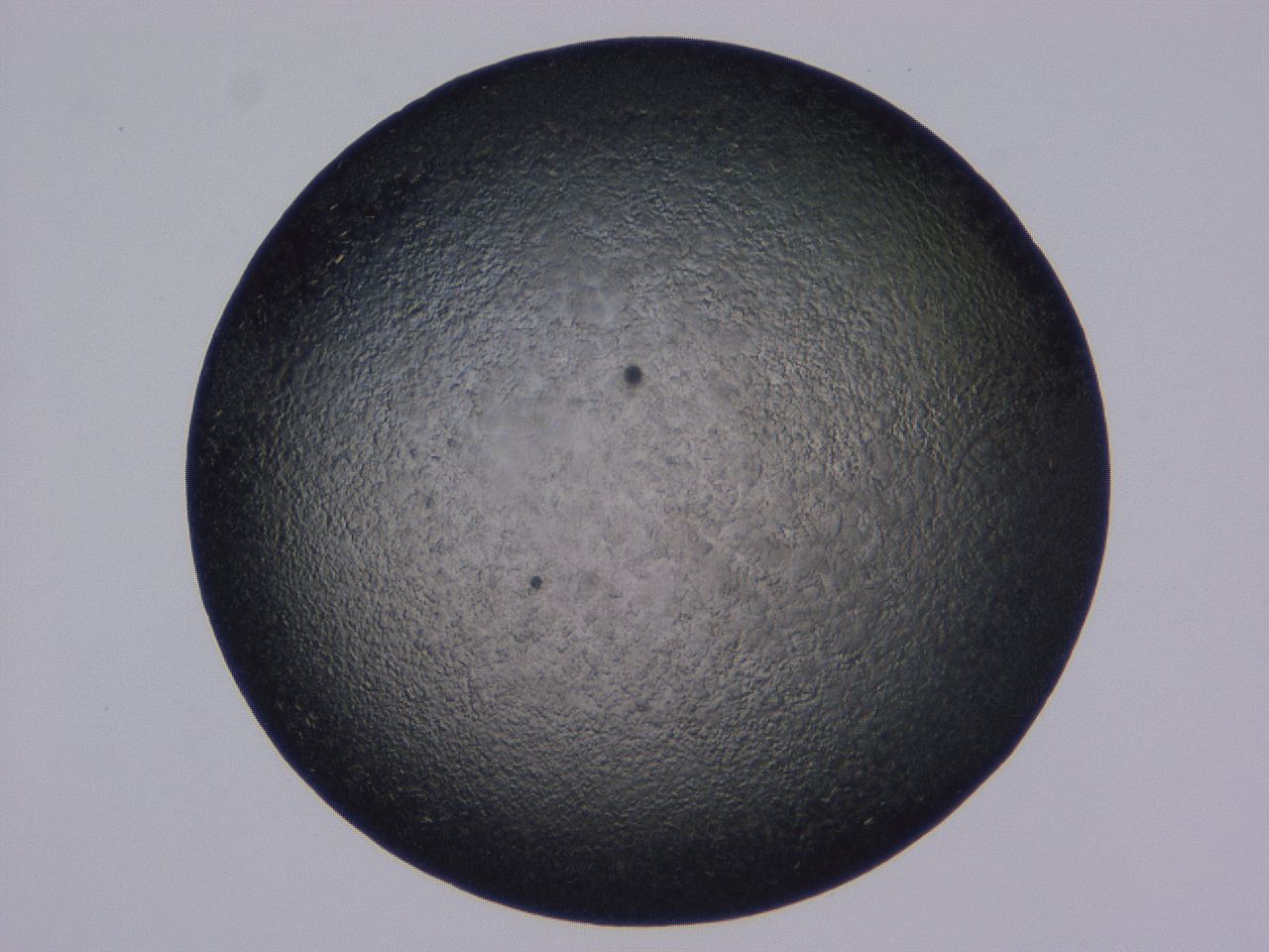 0509_E5_ImagerDefaults_8.jpg