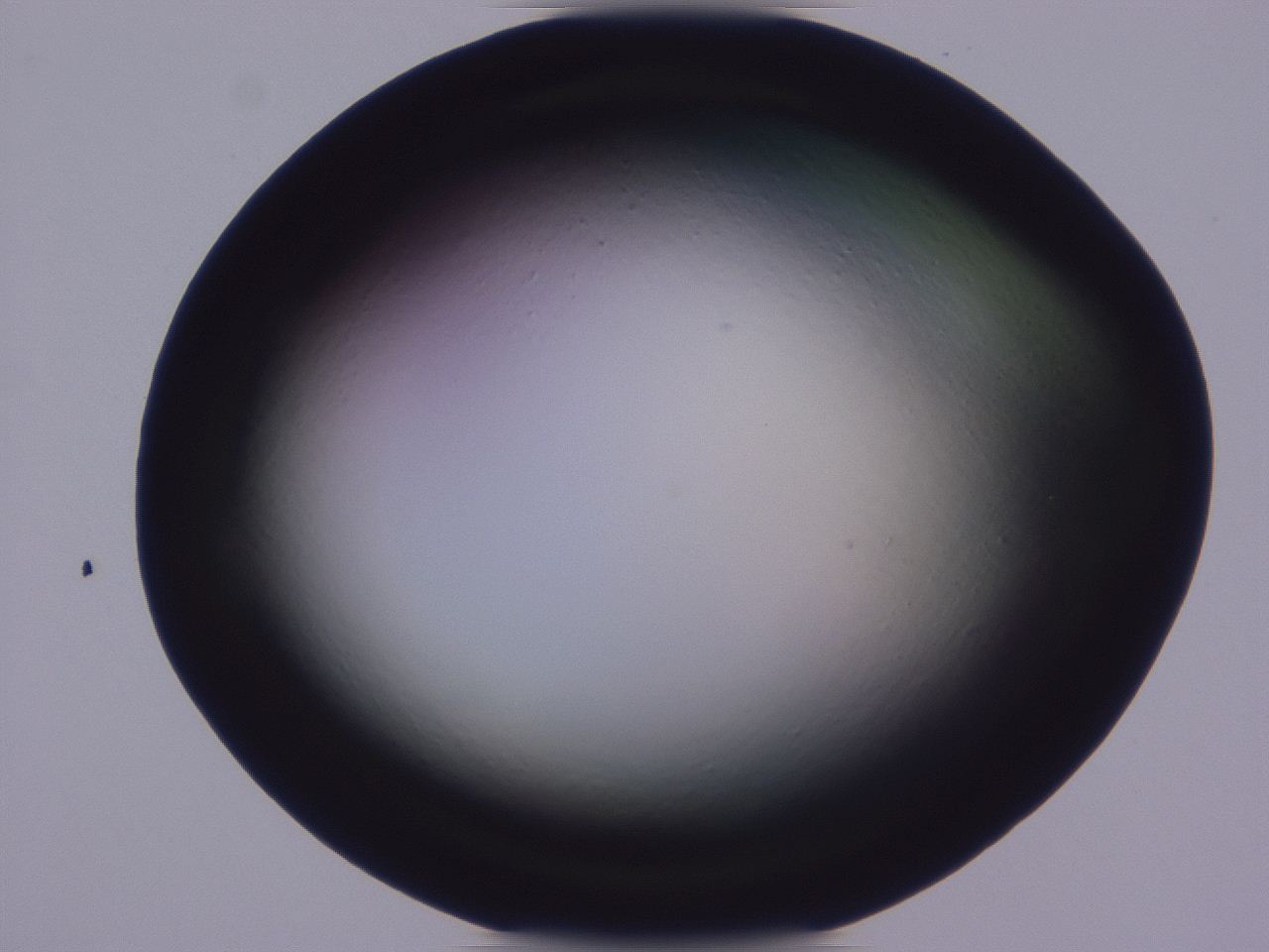 0509_E6_ImagerDefaults_0.jpg