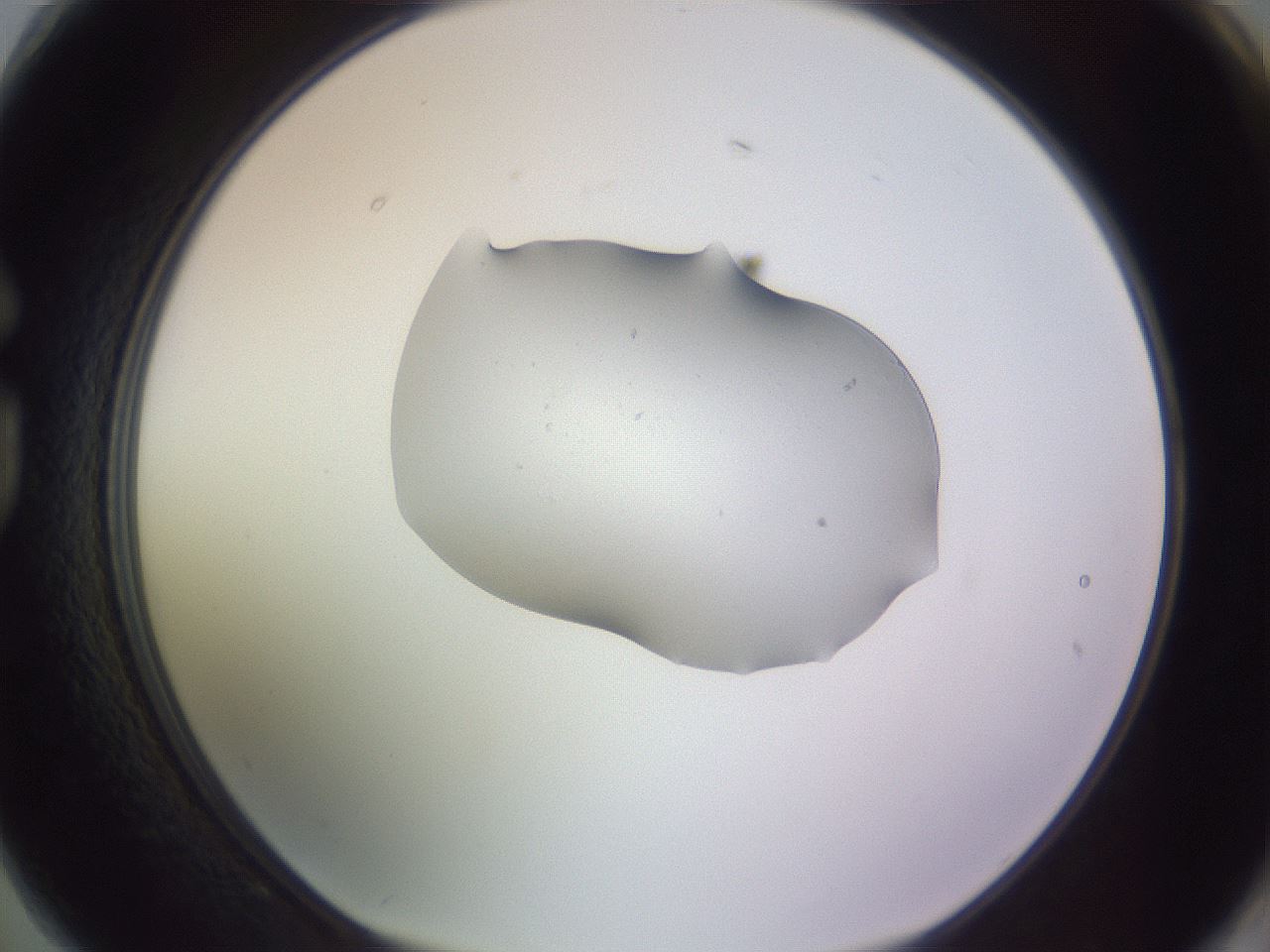folderID250_plateID3250_batchID18233_wellNum74_profileID1_d1_r285525_ef.jpg