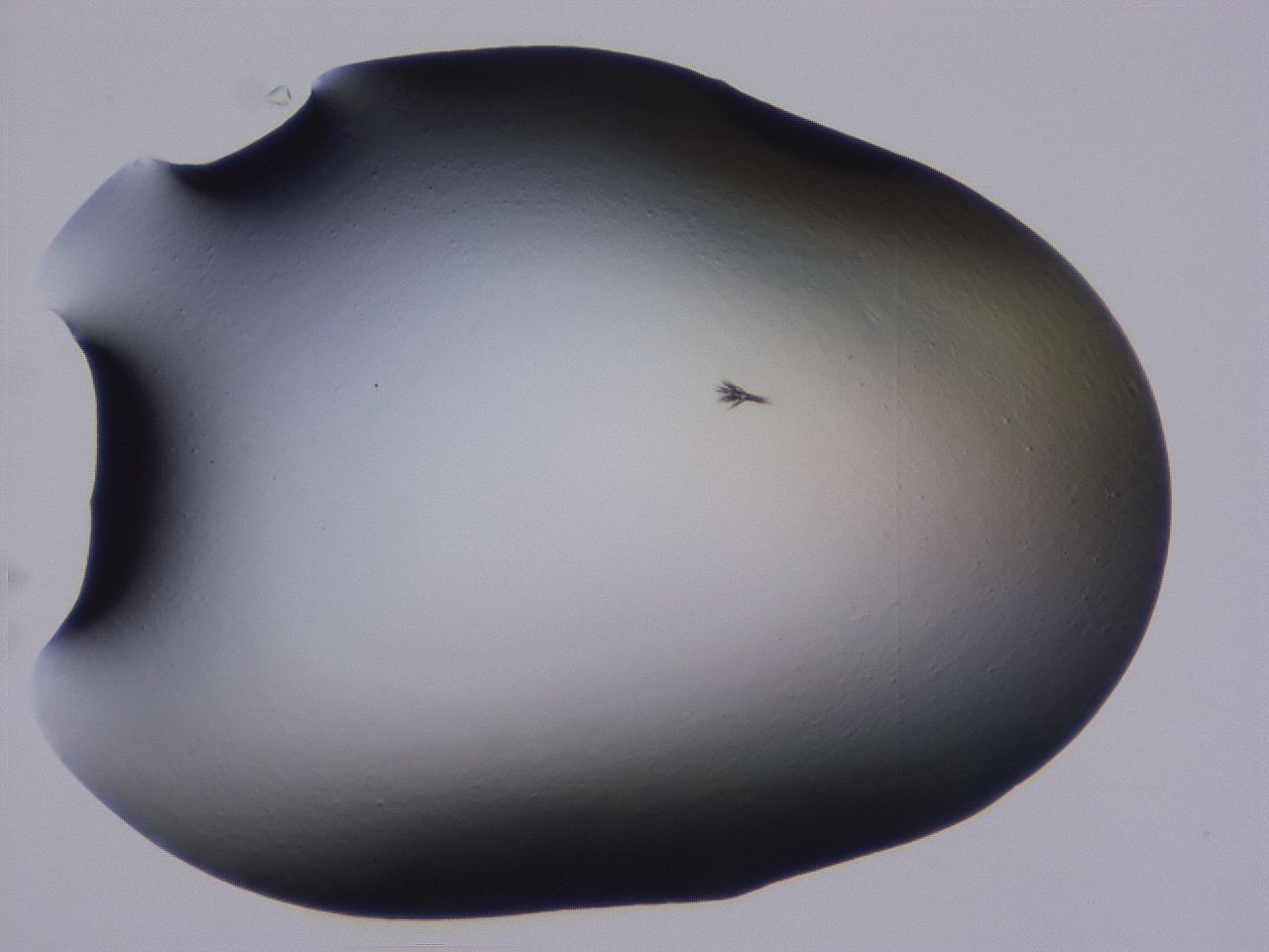 0509_E8_ImagerDefaults_0.jpg