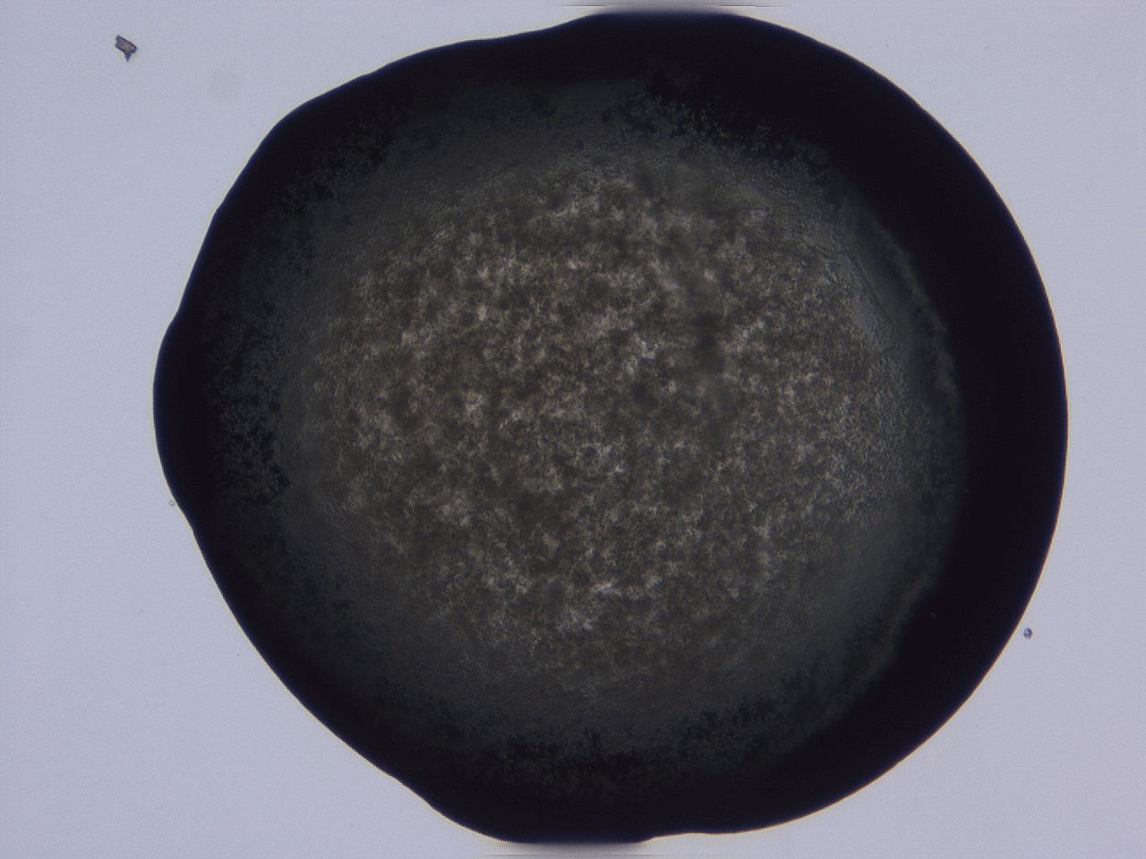 0509_B12_ImagerDefaults_3.jpg
