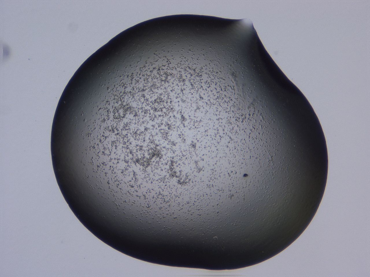0509_B11_ImagerDefaults_3.jpg