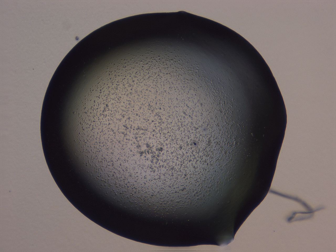 0509_B2_ImagerDefaults_3.jpg