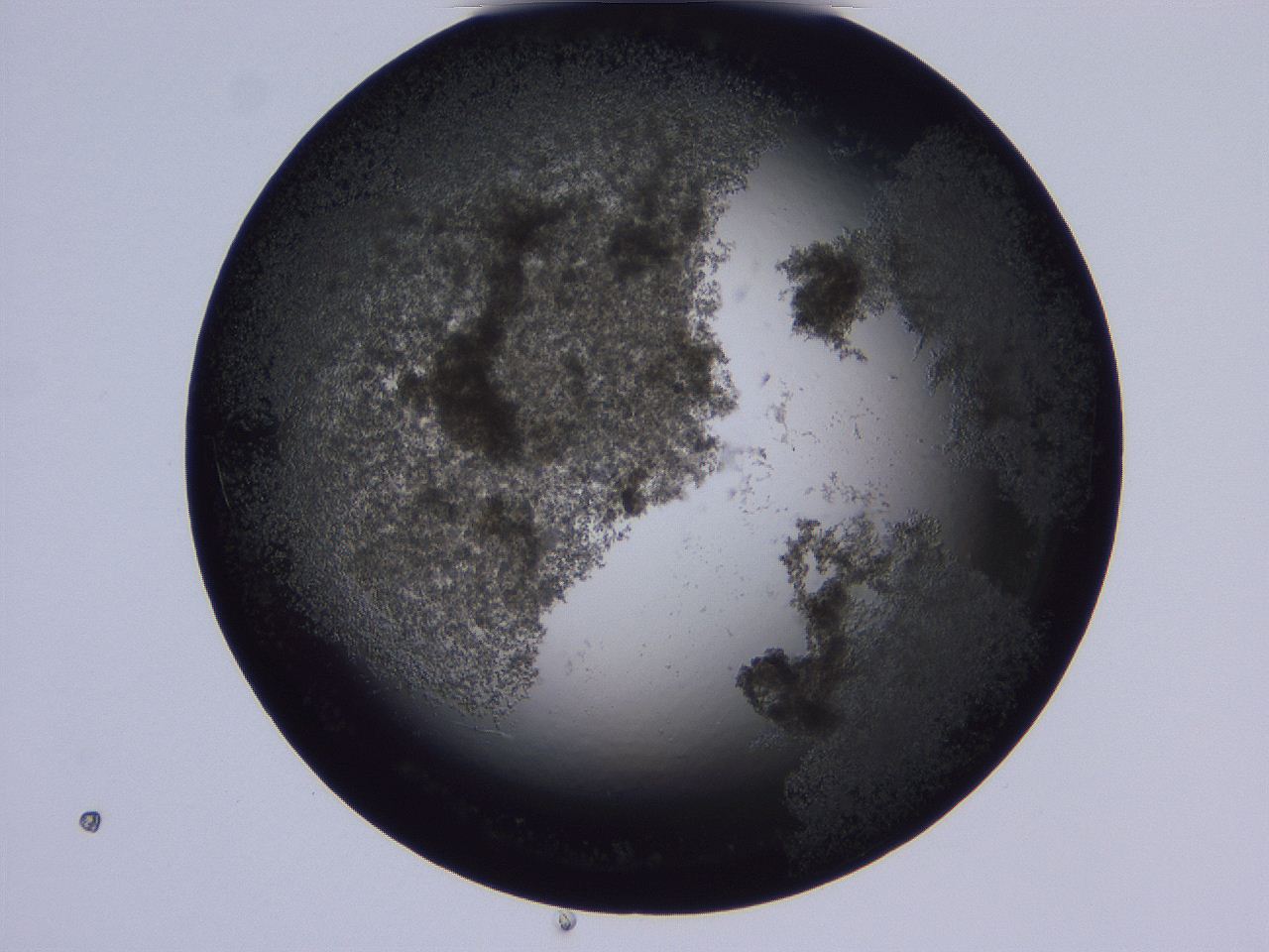 0509_B7_ImagerDefaults_3.jpg