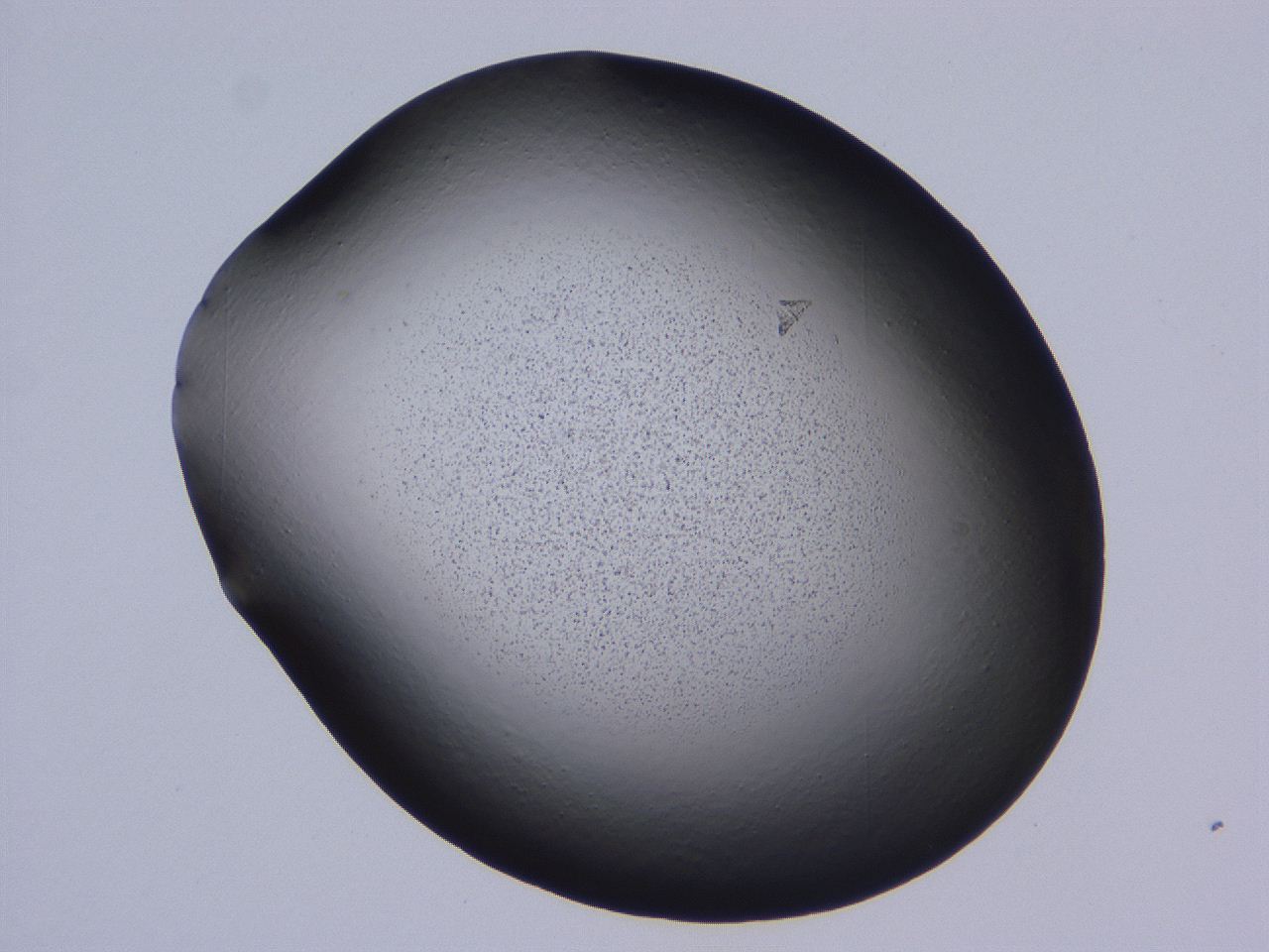0509_B9_ImagerDefaults_3.jpg
