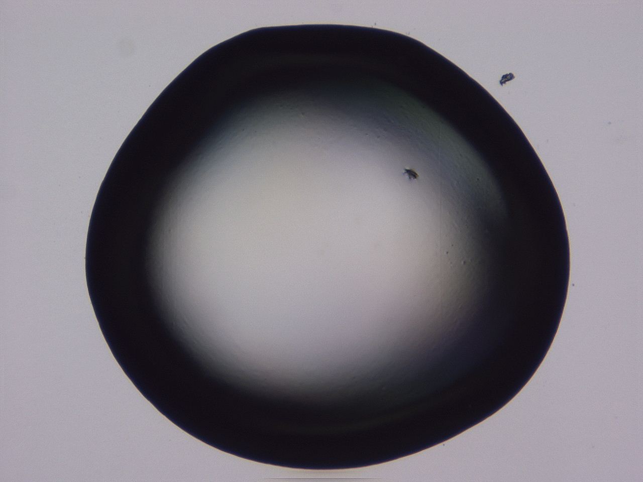 0509_E11_ImagerDefaults_0.jpg