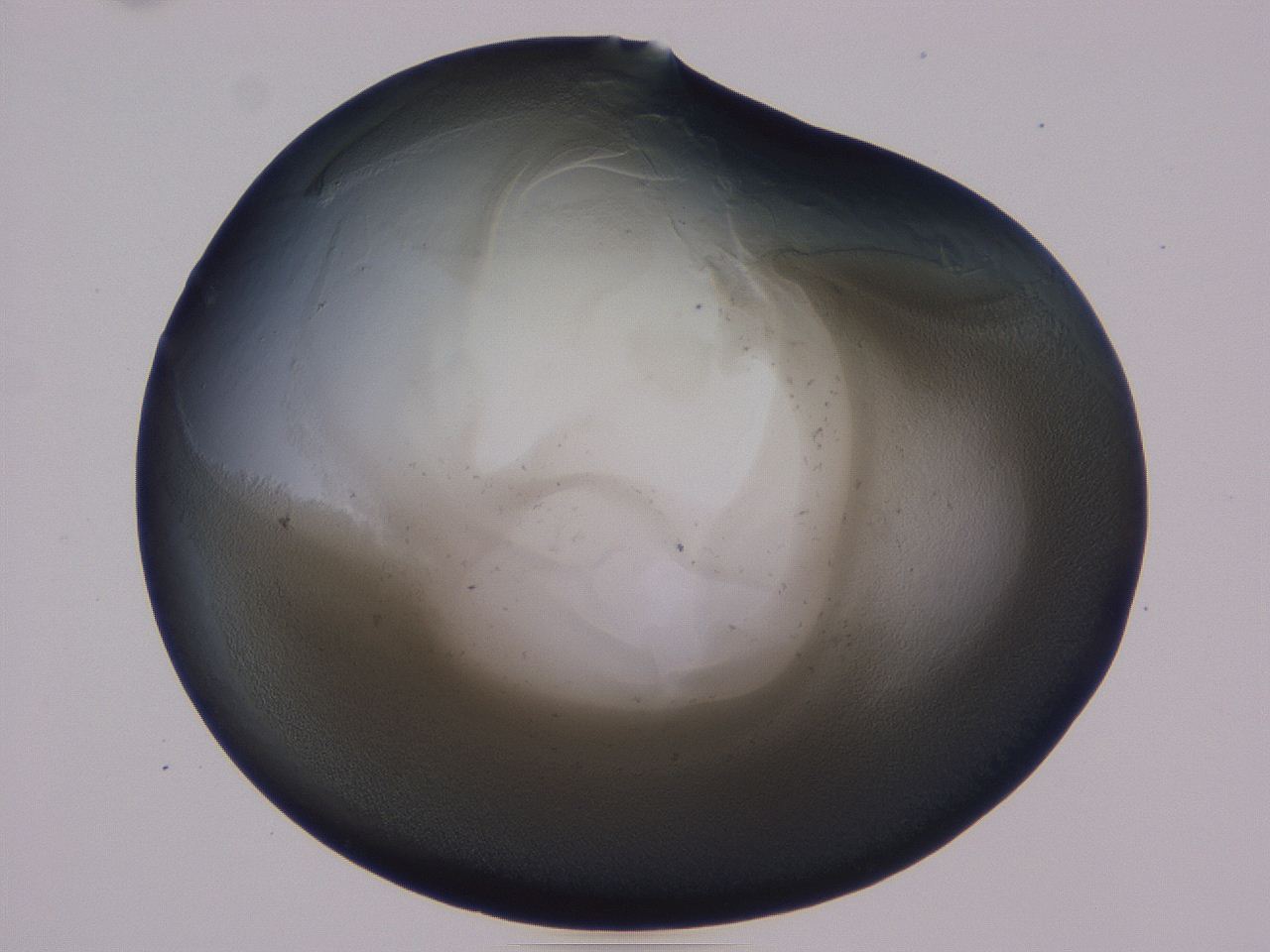 0509_E12_ImagerDefaults_3.jpg