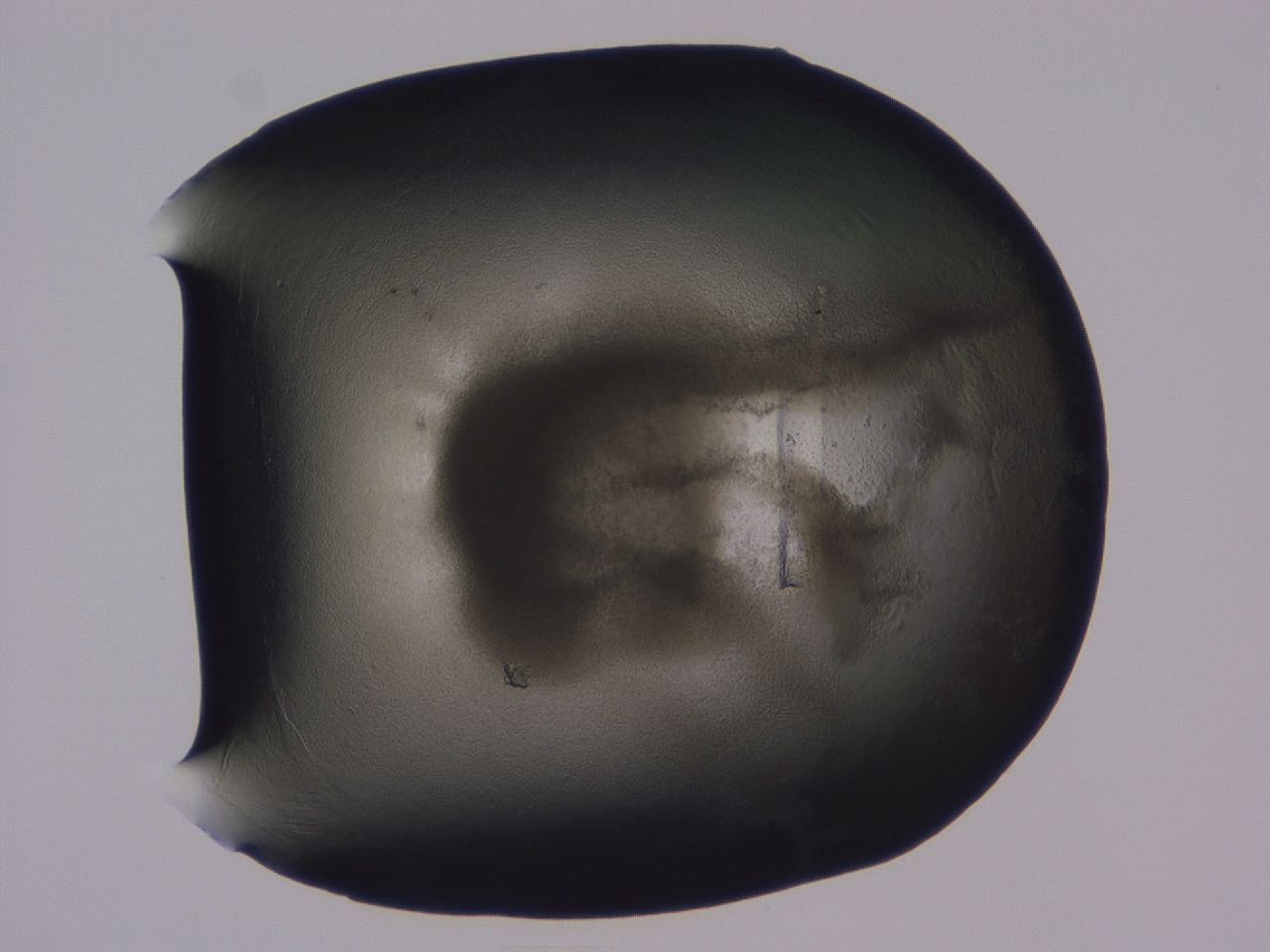 0509_F1_ImagerDefaults_3.jpg
