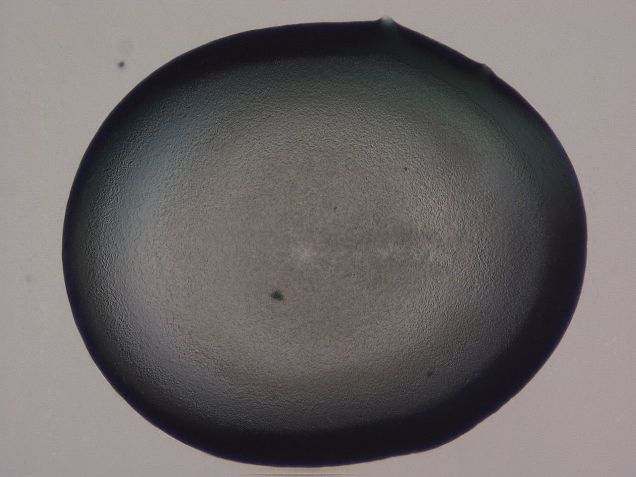 0509_F3_ImagerDefaults_3.jpg
