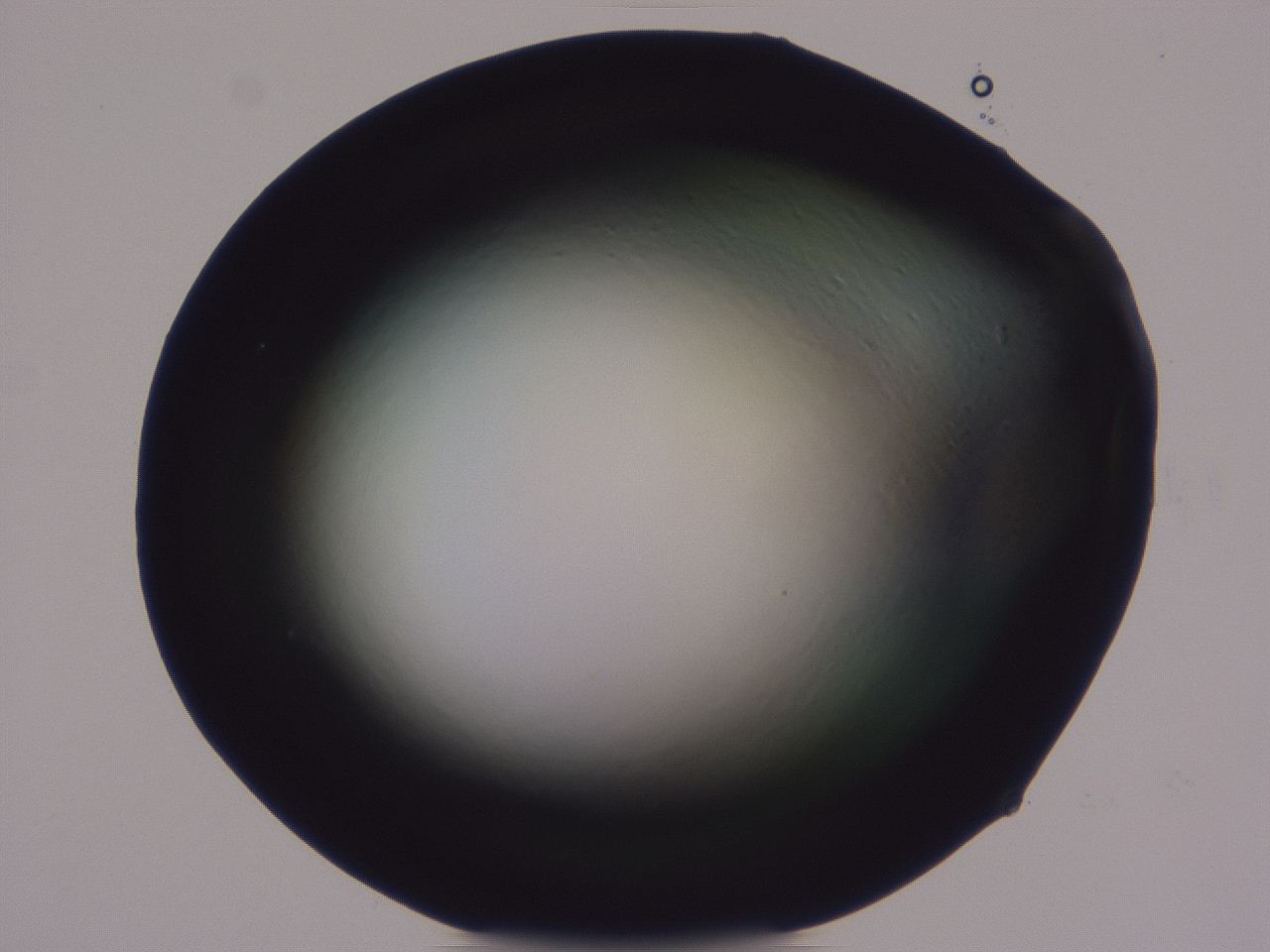 0509_F4_ImagerDefaults_0.jpg