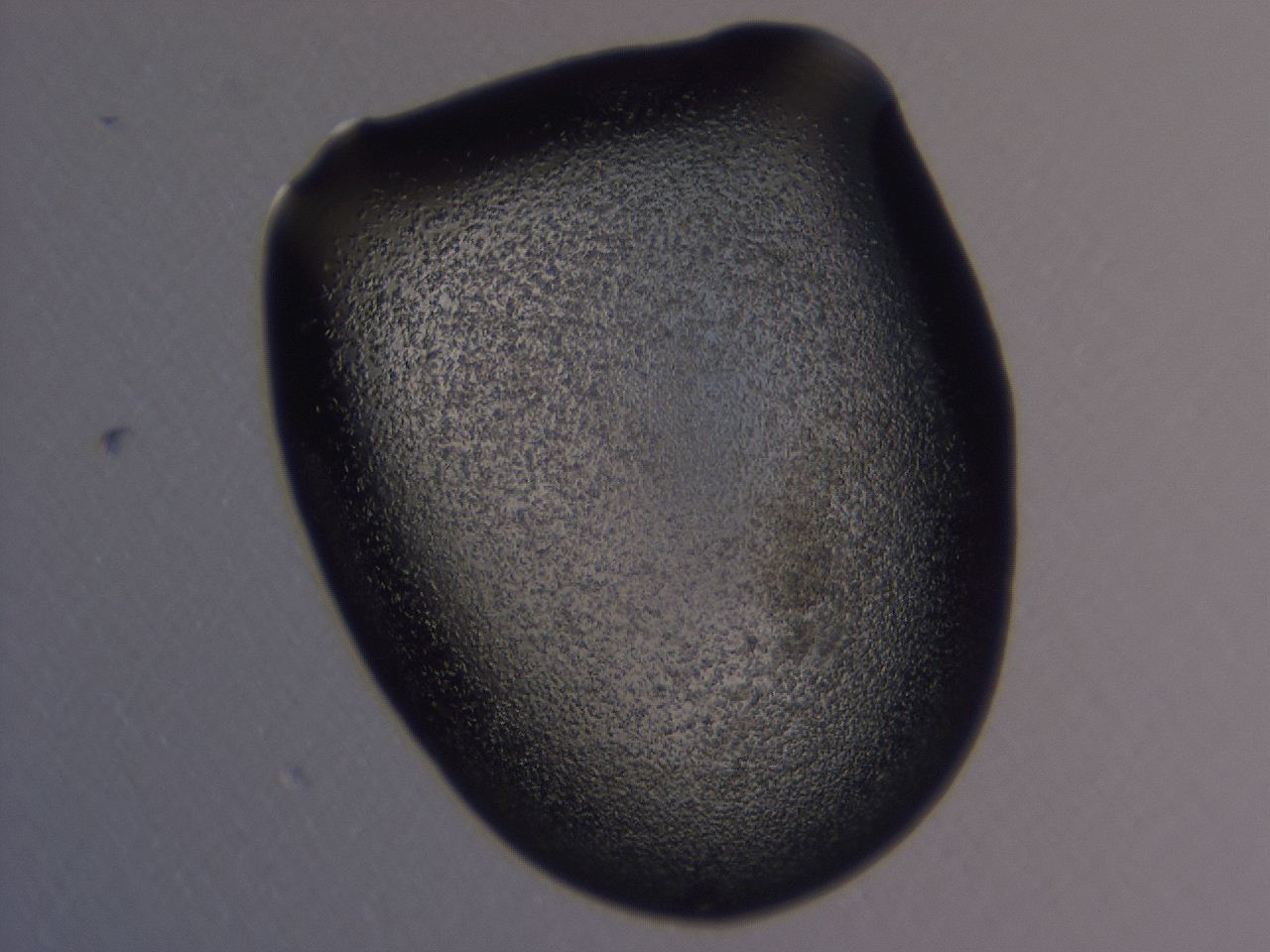 0509_A11_ImagerDefaults_3.jpg