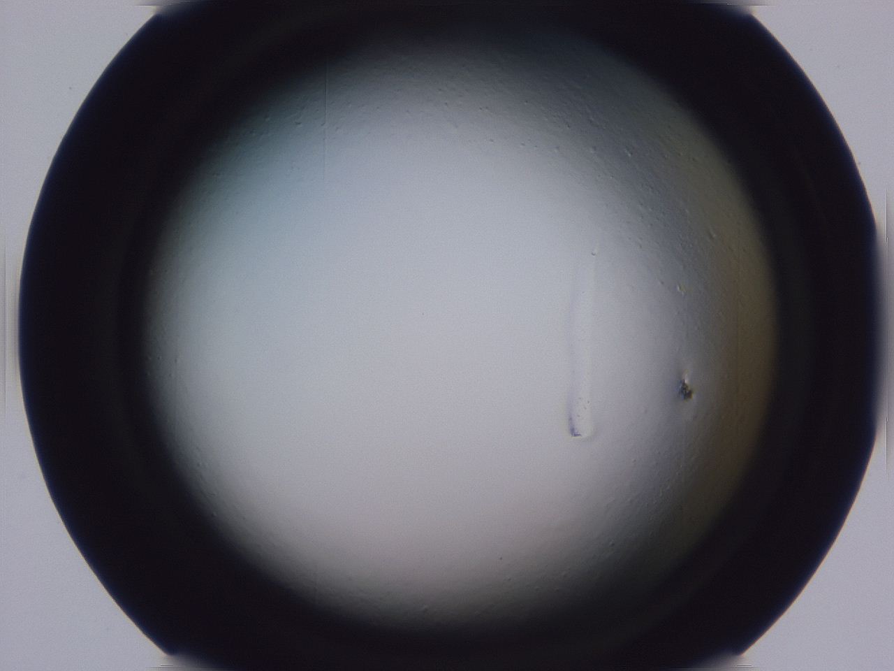 0509_D1_ImagerDefaults_0.jpg