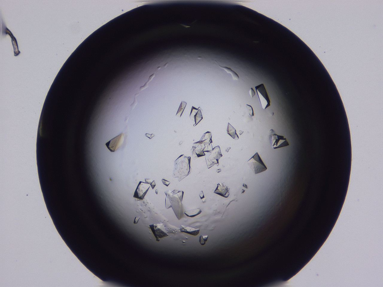0509_C12_ImagerDefaults_9.jpg