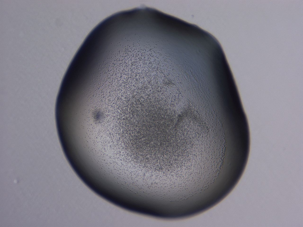 0509_A4_ImagerDefaults_3.jpg