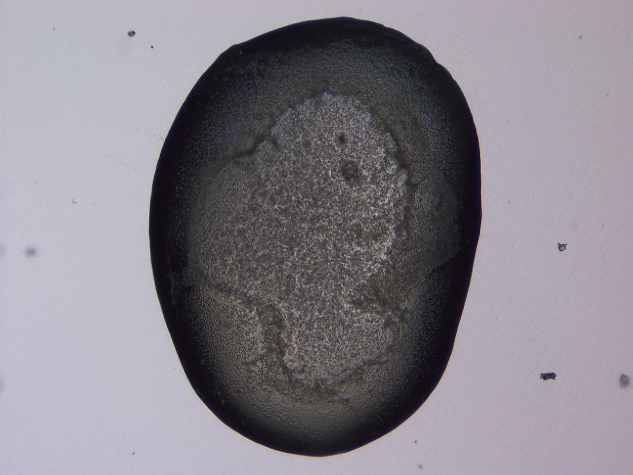 0509_A1_ImagerDefaults_3.jpg