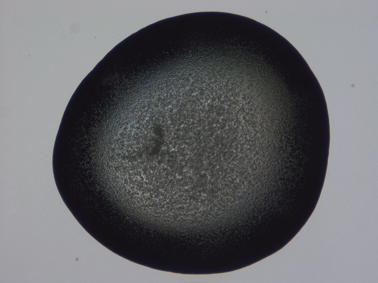 0509_F6_ImagerDefaults_3.jpg
