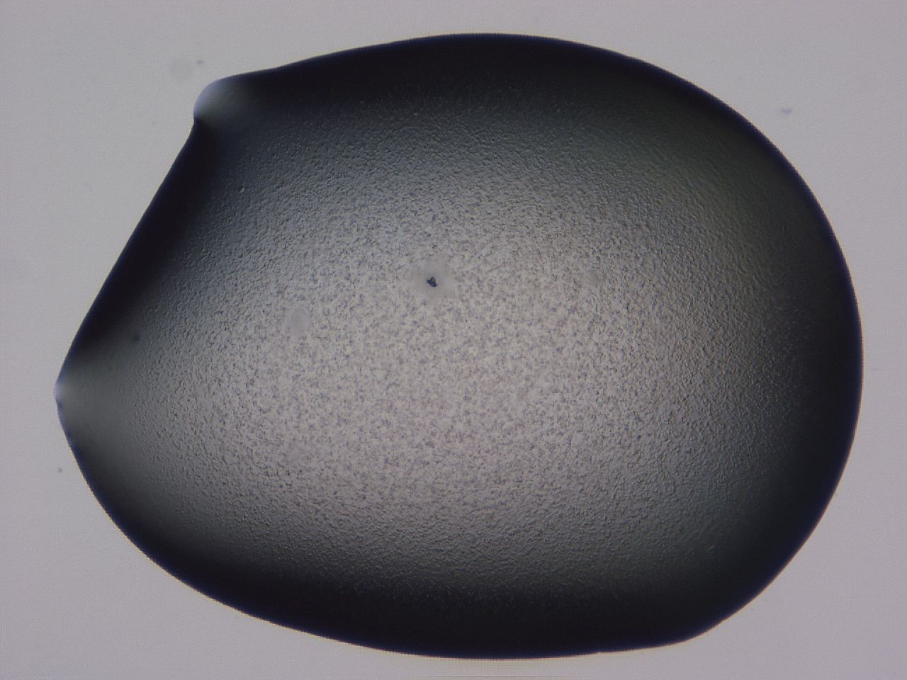 0509_F7_ImagerDefaults_3.jpg