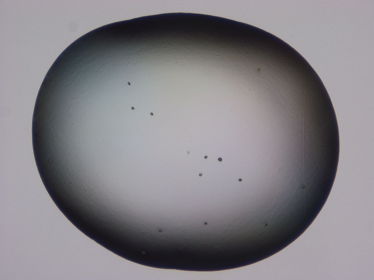 0509_F9_ImagerDefaults_0.jpg