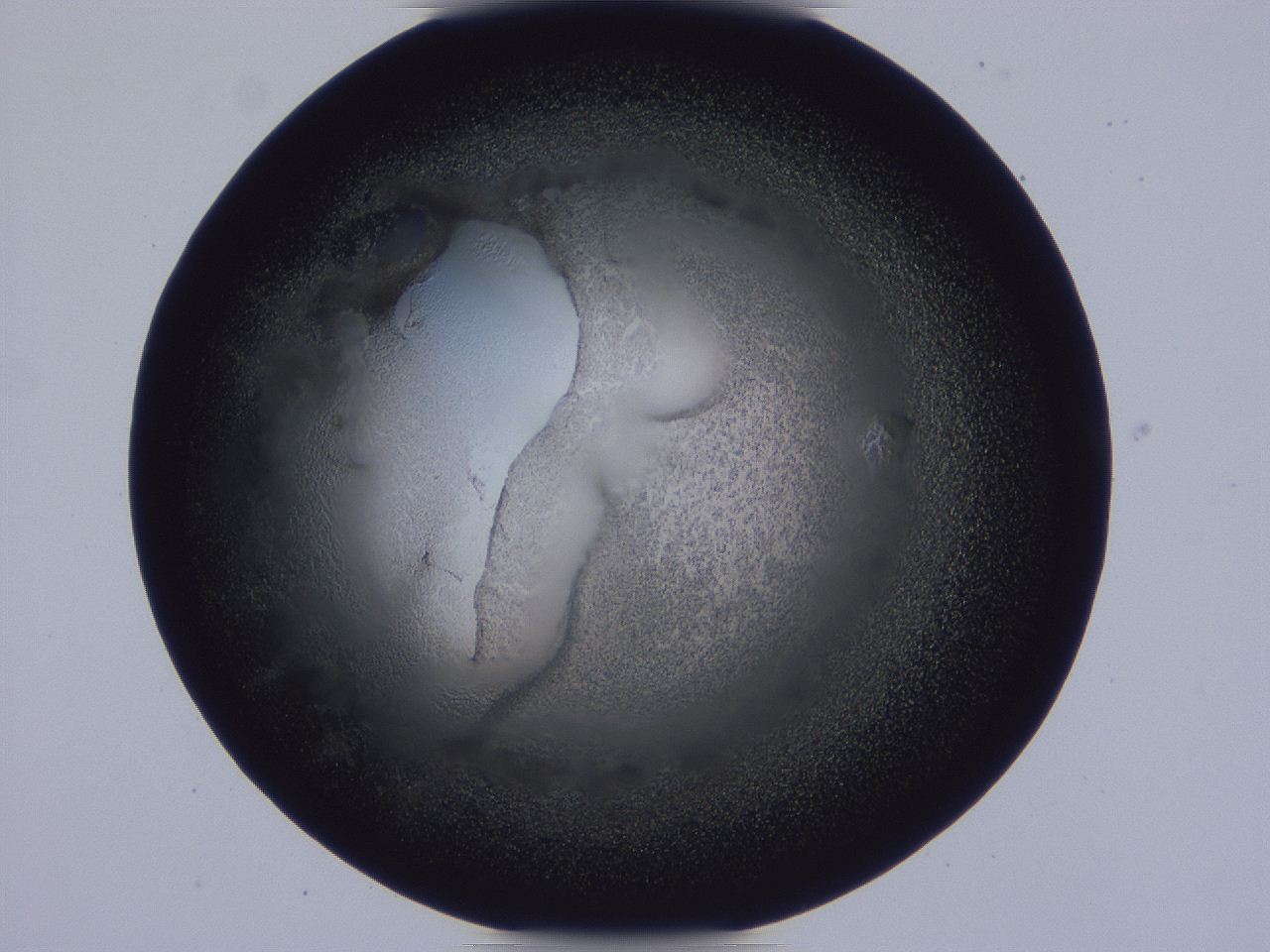 0509_F10_ImagerDefaults_3.jpg