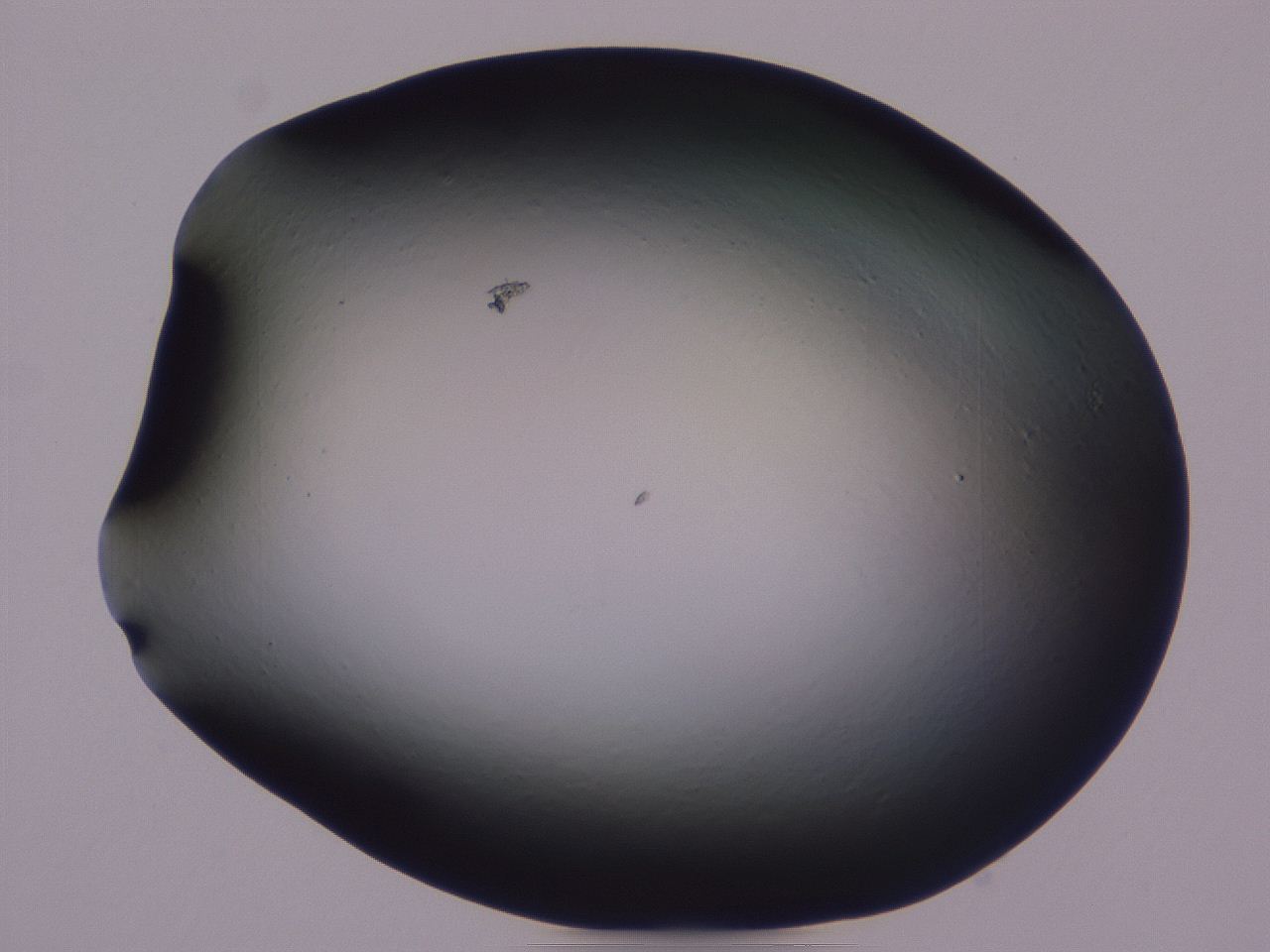 0509_F11_ImagerDefaults_0.jpg