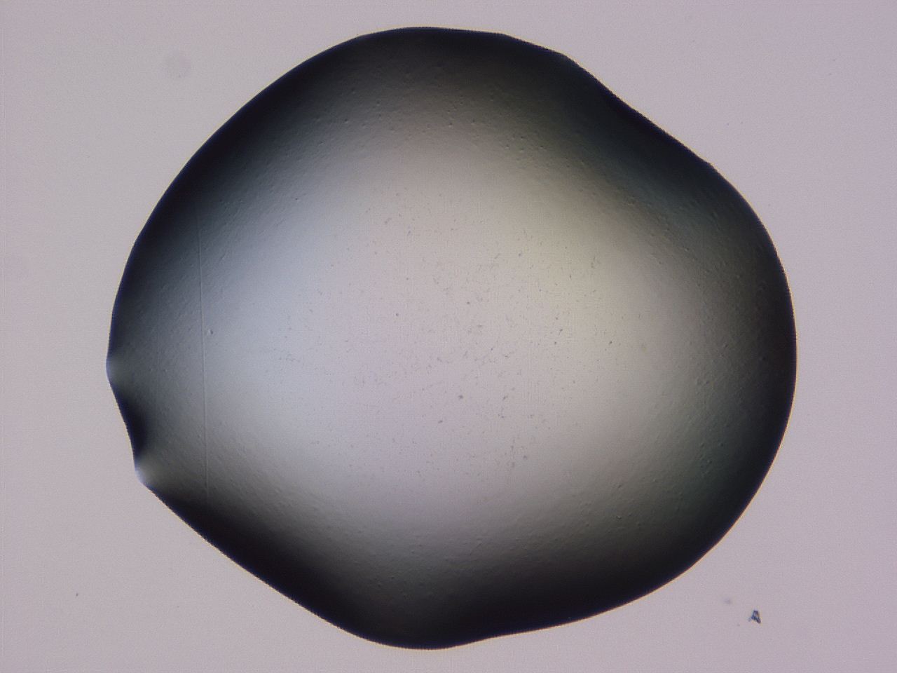 0509_F12_ImagerDefaults_0.jpg