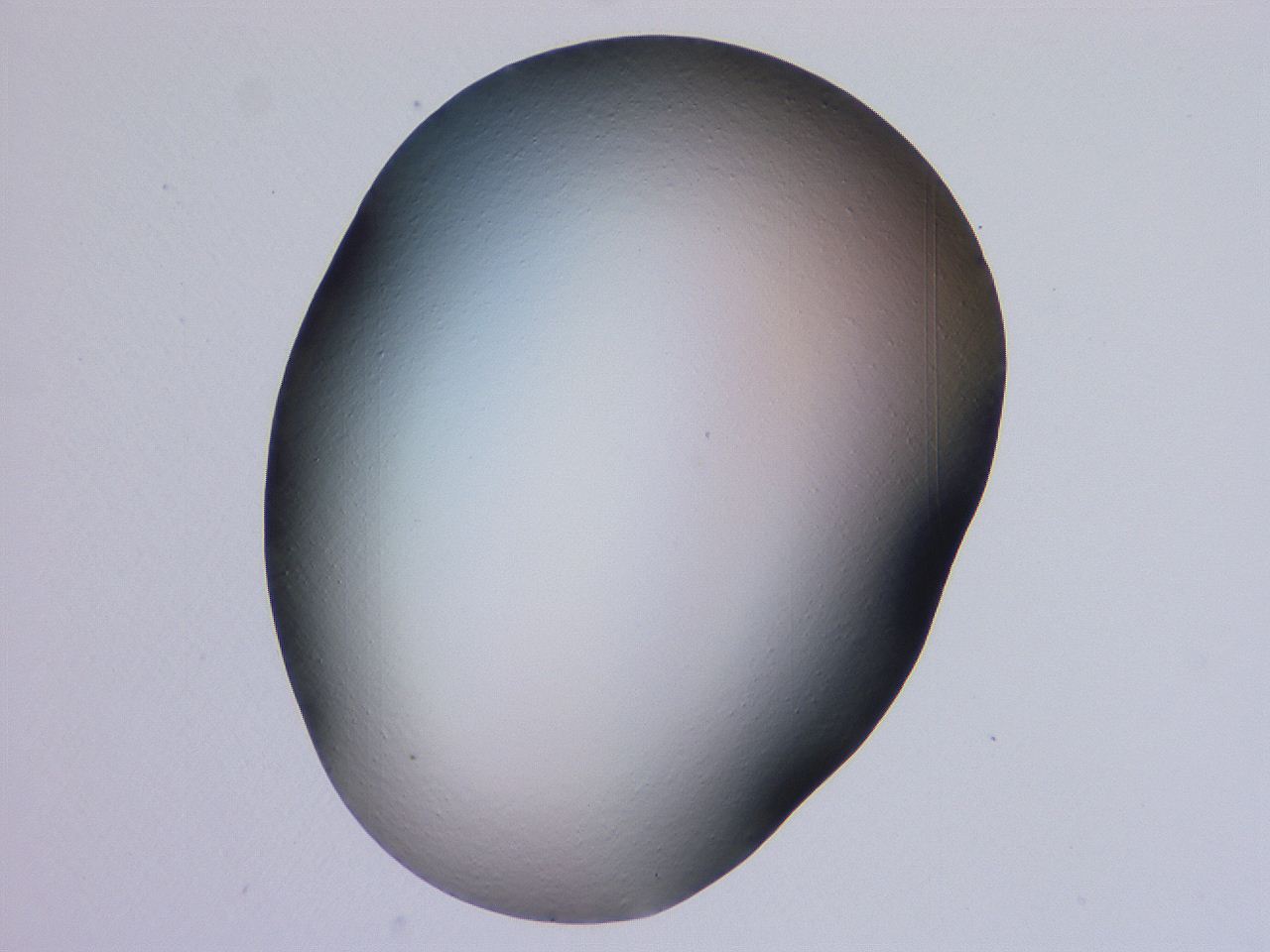 0509_G5_ImagerDefaults_0.jpg