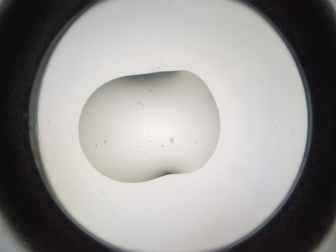 folderID252_plateID3252_batchID18627_wellNum6_profileID1_d2_r285198_ef.jpg