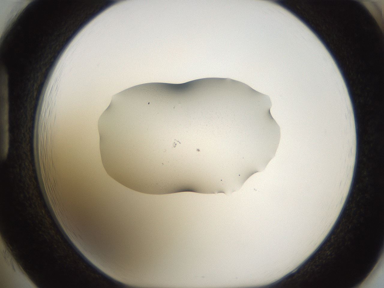 folderID252_plateID3252_batchID18627_wellNum85_profileID1_d1_r285355_ef.jpg