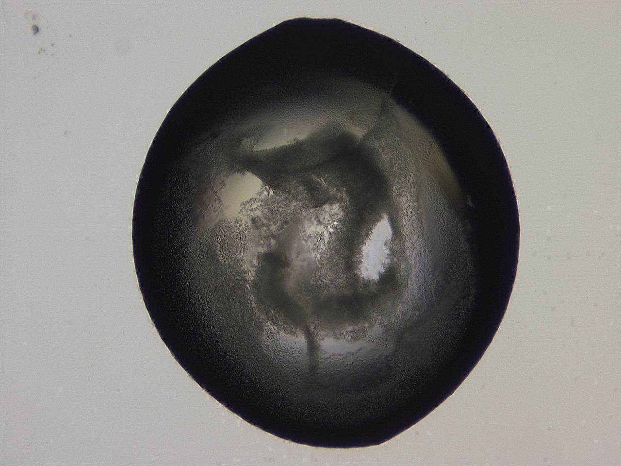 0509_G6_ImagerDefaults_3.jpg