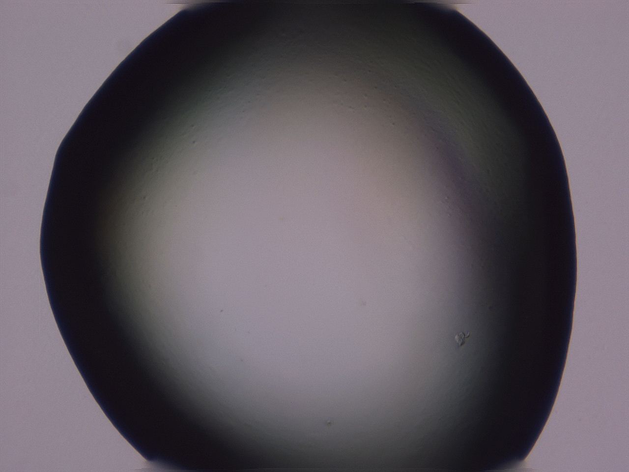 0509_G7_ImagerDefaults_0.jpg