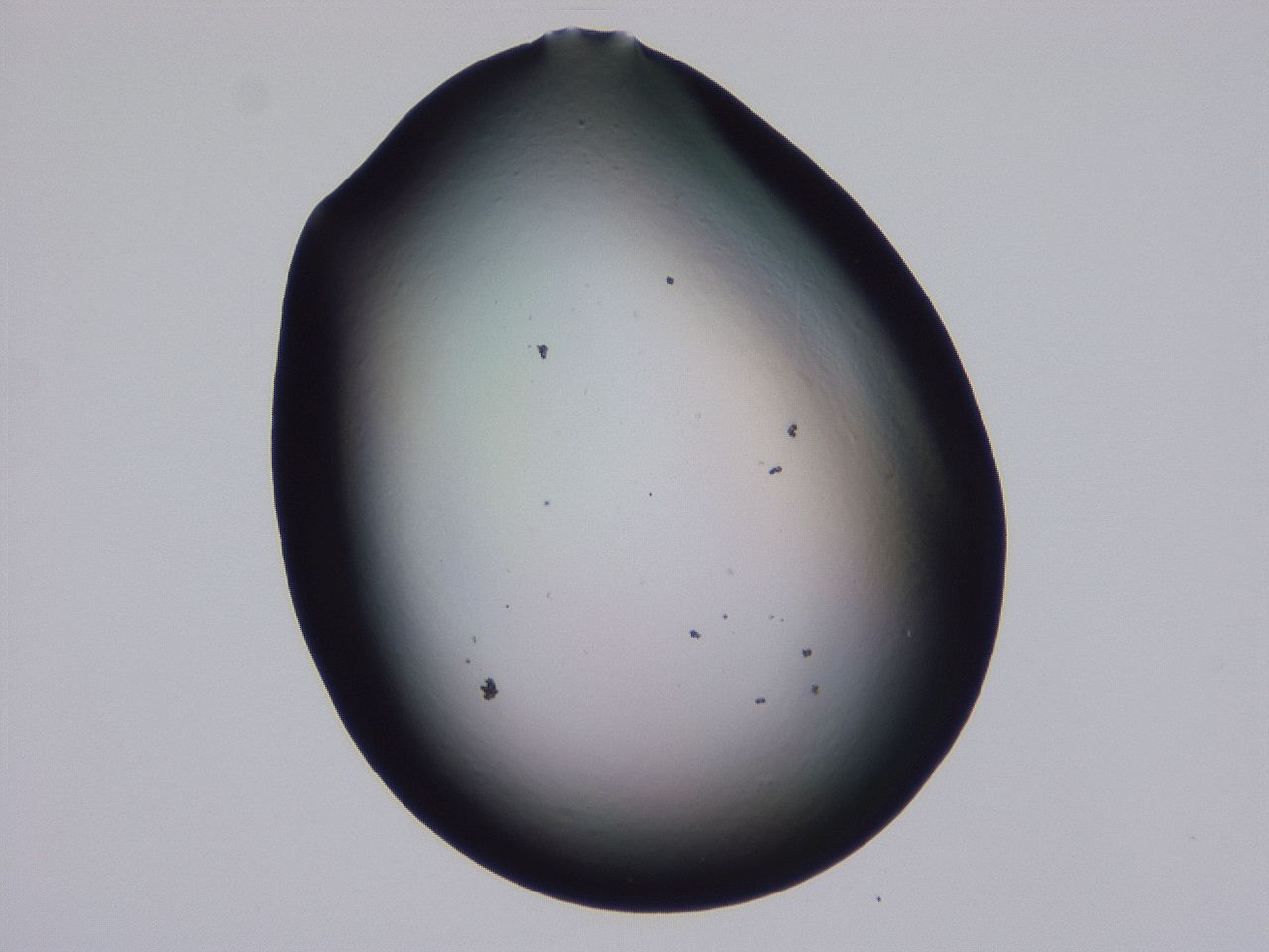 0509_G8_ImagerDefaults_0.jpg