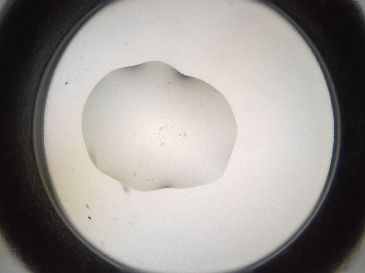 folderID252_plateID3252_batchID18937_wellNum9_profileID1_d2_r285204_ef.jpg
