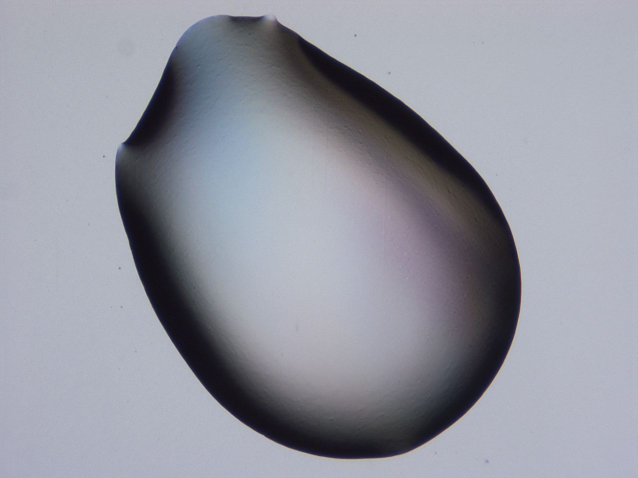 0509_G9_ImagerDefaults_0.jpg
