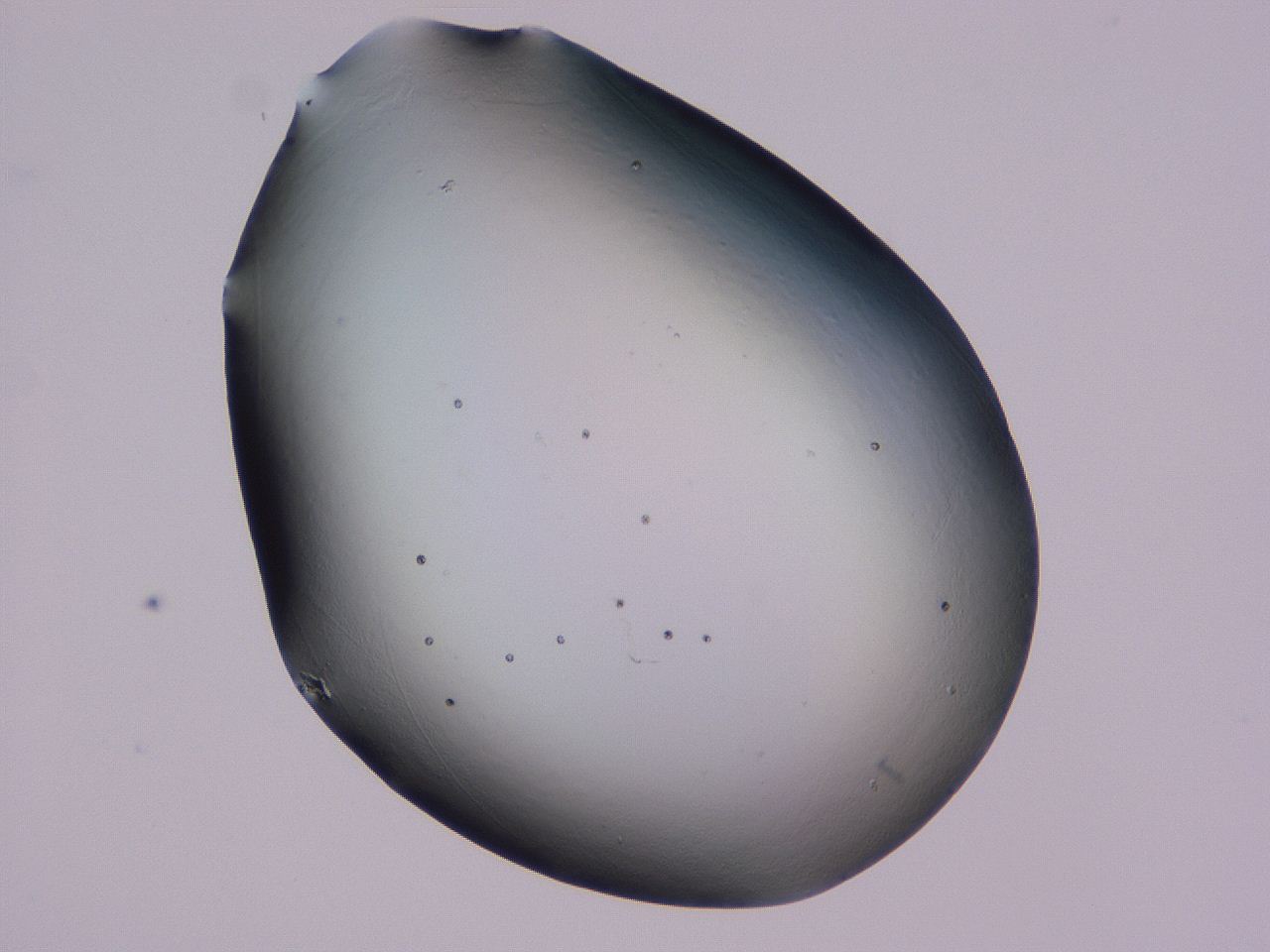 0509_G12_ImagerDefaults_0.jpg
