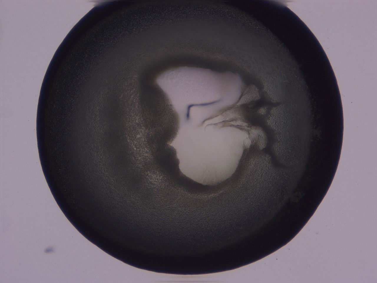0509_H2_ImagerDefaults_3.jpg
