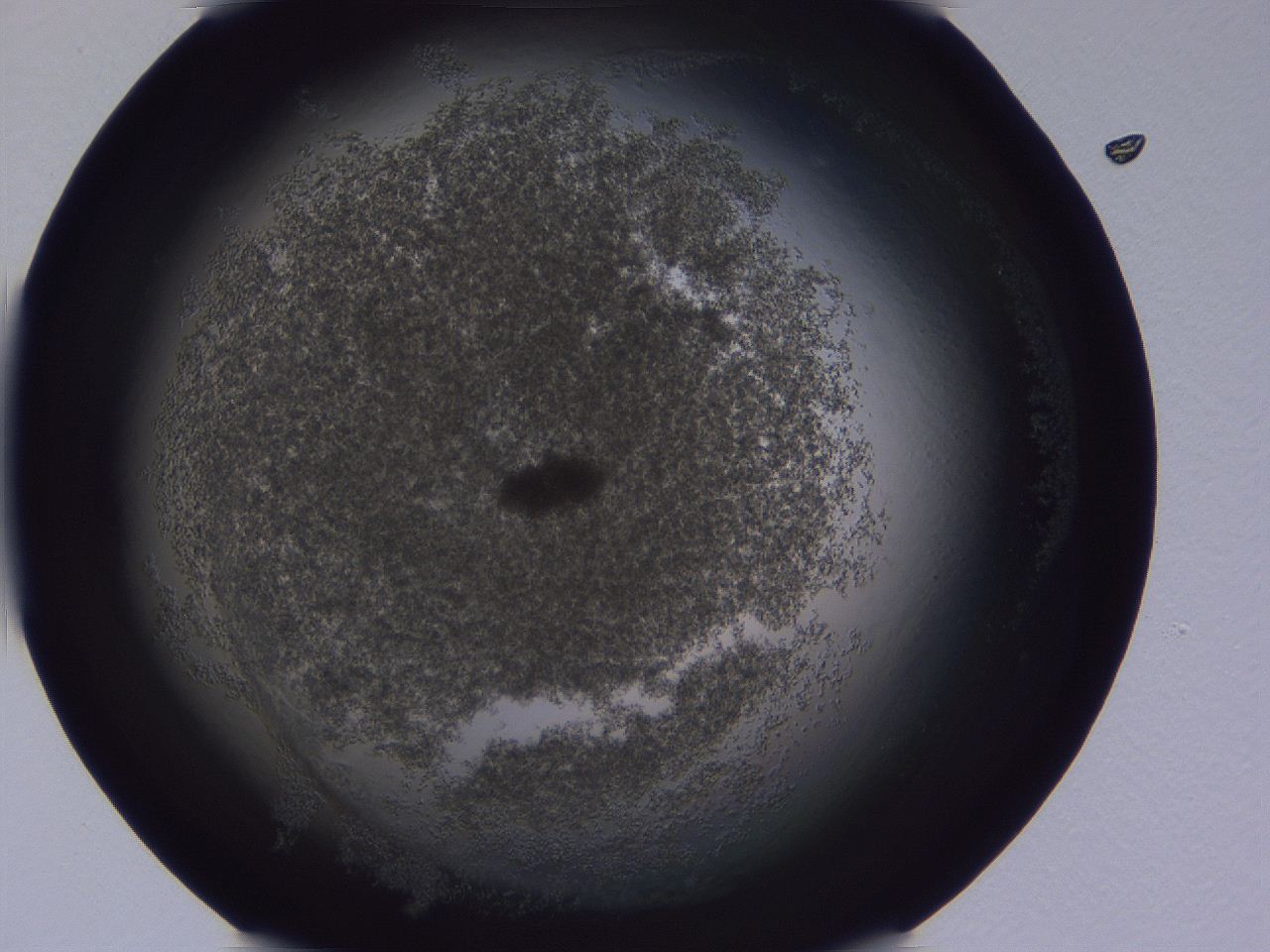 0509_H4_ImagerDefaults_3.jpg