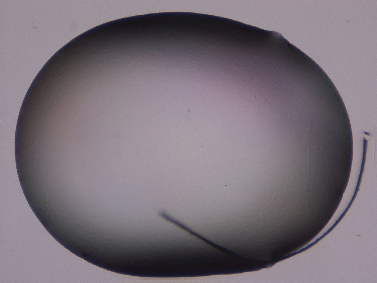 0509_H6_ImagerDefaults_0.jpg