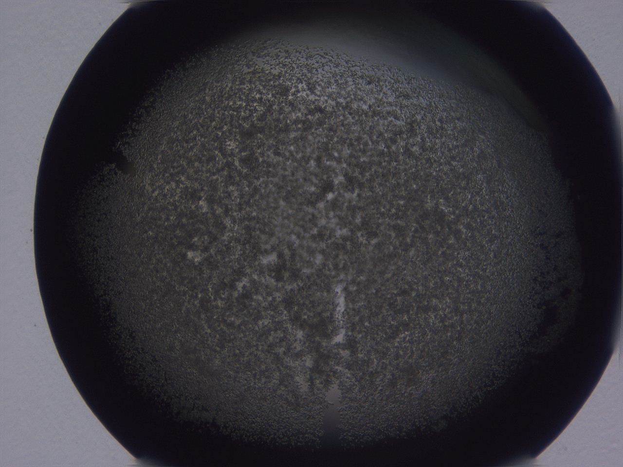 0509_H8_ImagerDefaults_3.jpg
