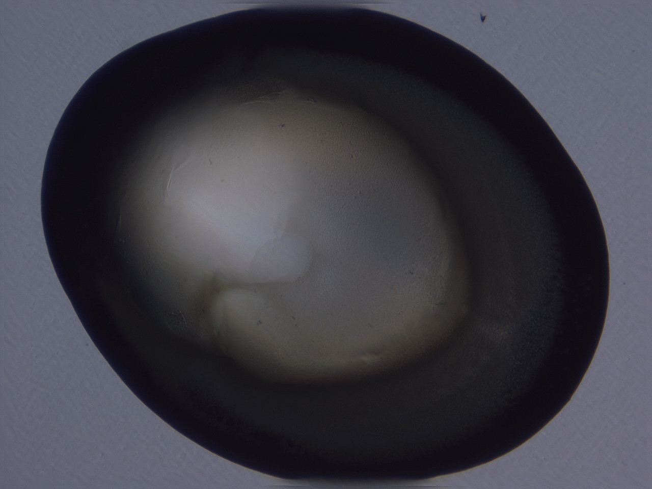 0509_H9_ImagerDefaults_3.jpg
