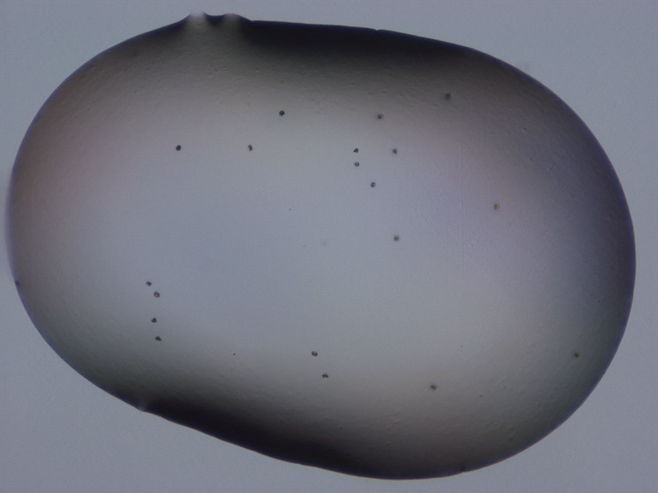 0509_H11_ImagerDefaults_0.jpg