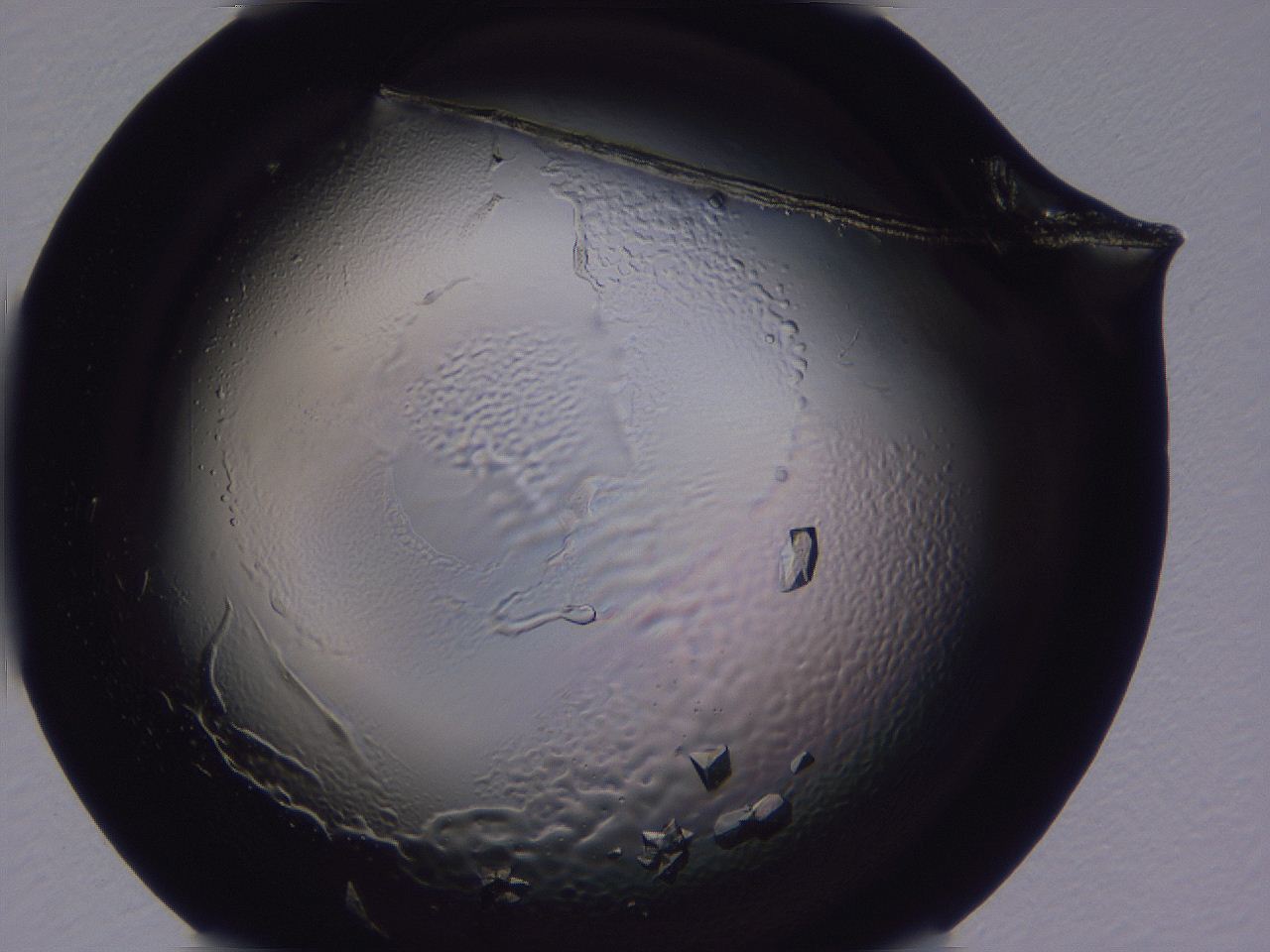 0509_H12_ImagerDefaults_9.jpg