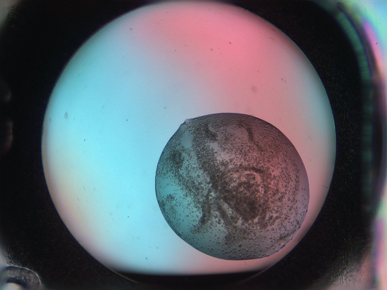 050q_G12_ImagerDefaults_7.jpg