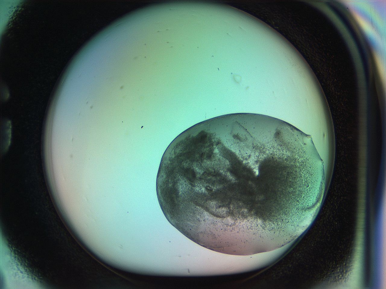 050q_G8_ImagerDefaults_8.jpg